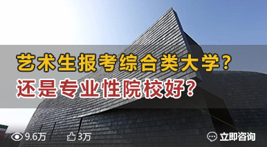 藝術生報考綜合類大學？還是專業(yè)性院校好？